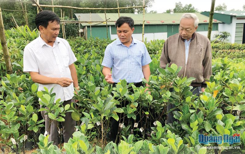 Giám đốc Sở NN&PTNT Hồ Trọng Phương kiểm tra vườn  giống cây ăn quả của Công ty TNHH KH&CN Nông Tín. 