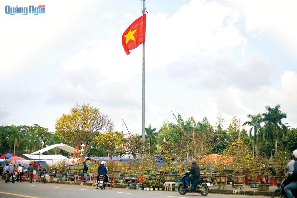 Chợ hoa xuân trên đường hoa Phạm Văn Đồng (TP.Quảng Ngãi).