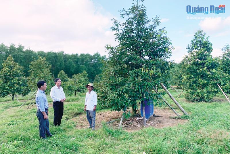 Huyện Nghĩa Hành có chủ trương mở rộng vùng chuyên canh cây ăn quả để nâng cao thu nhập cho người dân. 
