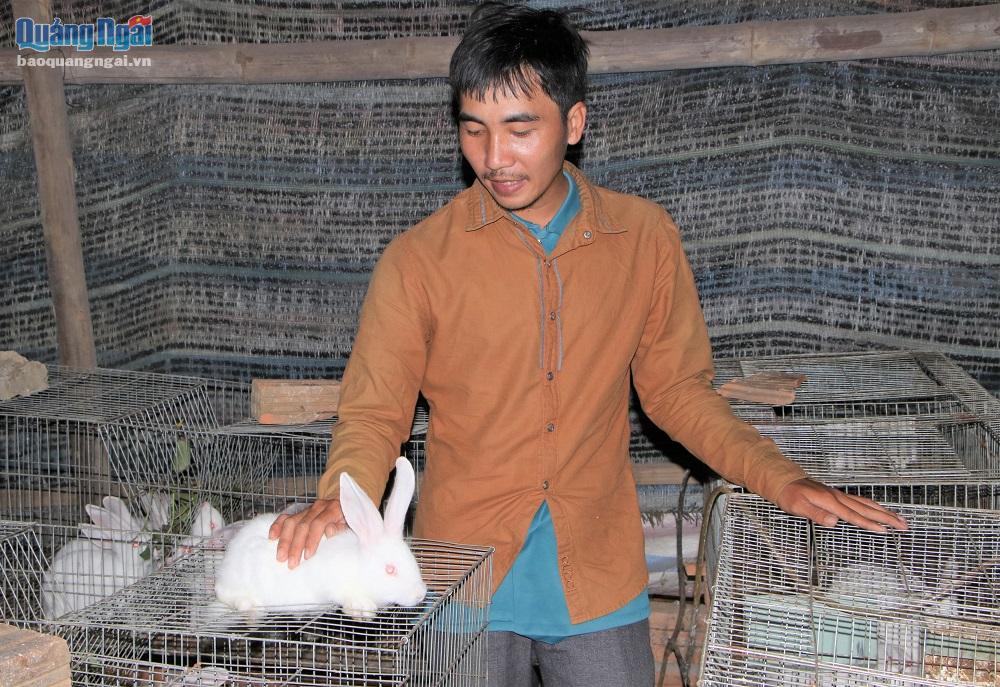 HTX nuôi thỏ Quảng Ngãi đang hoạt động tốt vì đi đúng hướng.