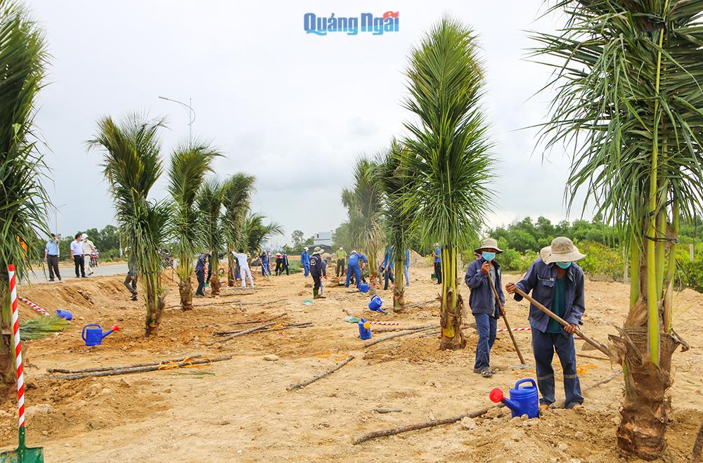   Đợt này, gần 15 nghìn cây xanh có tán và hàng chục ngàn cây hoa trang trí sẽ được trồng trên tuyến đường Trì Bình – Cảng Dung Quất.