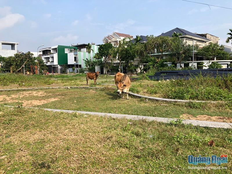 Sau gần 10 năm thi công, đến nay dự án Khu dân cư Yên Phú (TP.Quảng Ngãi) vẫn chưa hoàn thành. 