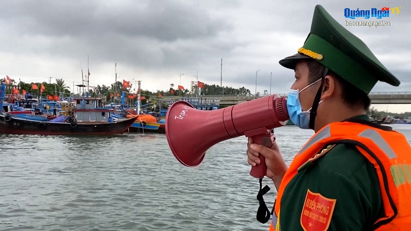 Video: BĐBP Quảng Ngãi tạm dừng xuất bến tàu thuyền