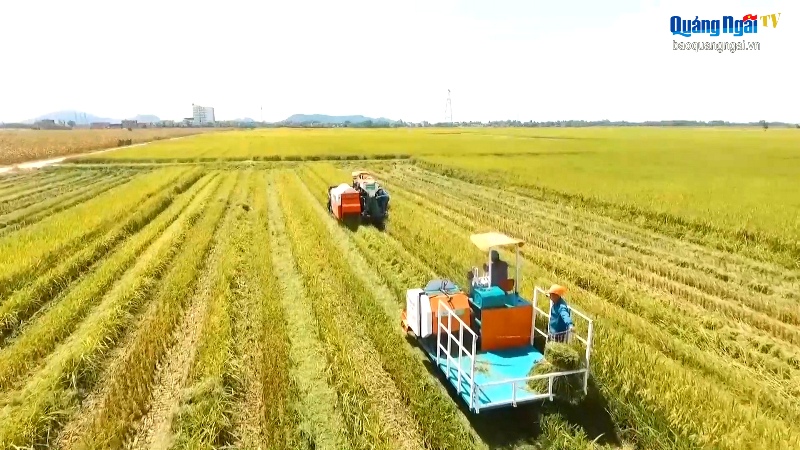 Video: Thay đổi tư duy sản xuất nông nghiệp từ nông dân