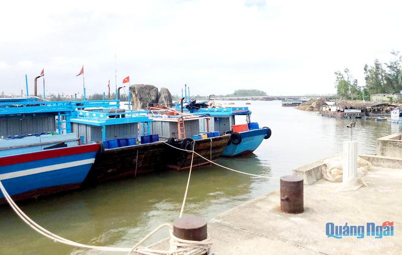 Sau 12 năm, công trình Cầu cảng cá sông Trà Bồng vẫn chưa đảm bảo điều kiện pháp lý để được công bố mở cảng.