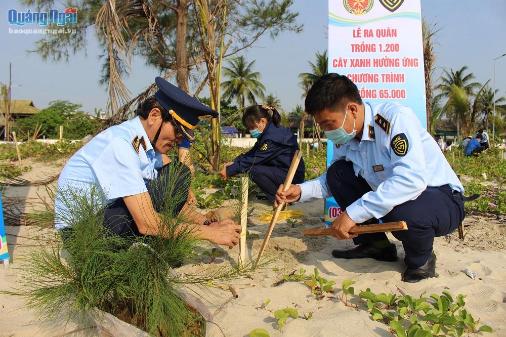 Cán bộ, công chức Cục Quản lý thị trường tỉnh trồng 1.200 dương liễu dọc bãi biển Mỹ Khê, xã Tịnh Khê (TP.Quảng Ngãi).