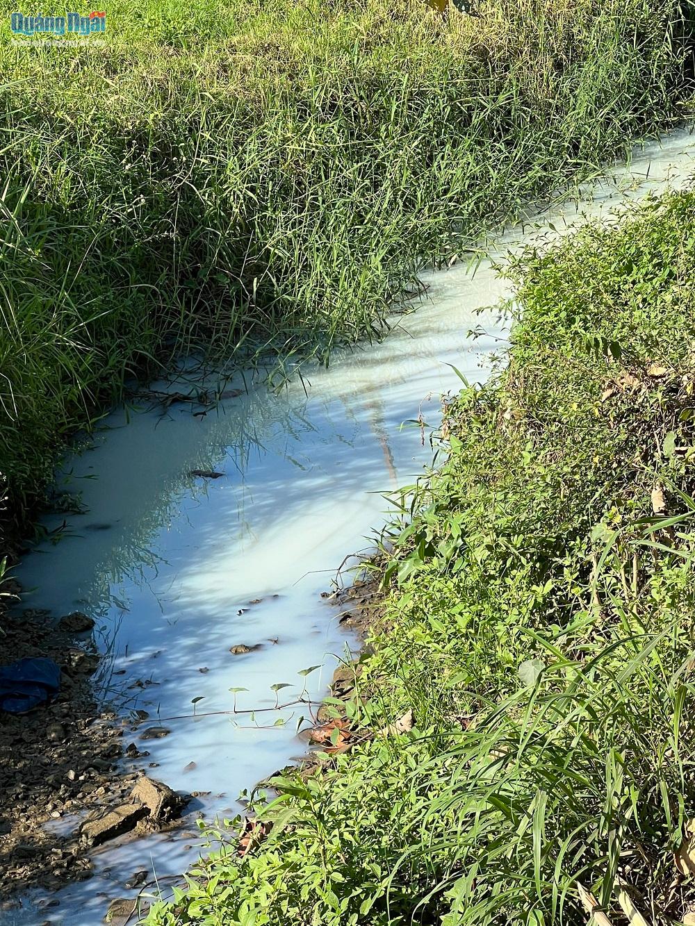 Nước thải do sự cố rò rỉ dầu bôi trơn tại Công ty TNHH PERENNIAL CABLE (Việt Nam) tại KCN VSIP Quảng Ngãi