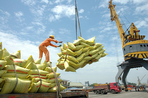Theo dự báo, từ tháng 5 sẽ là thời điểm xuất khẩu gạo nhộn nhịp hơn và giá lúa gạo sẽ tiếp tục có xu hướng tăng. (Ảnh minh họa - Ảnh: Báo Đầu tư)
