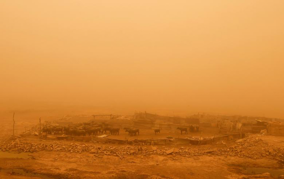 Iraq là một trong những quốc gia dễ bị tổn thương nhất thế giới bởi biến đổi khí hậu và tình trạng sa mạc hóa.