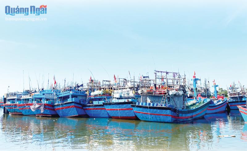 Giá xăng dầu tăng cao, khiến nhiều tàu cá phải nằm bờ.  Trong ảnh: Tàu cá neo đậu tại Cảng cá Tịnh Hòa (TP.Quảng Ngãi). Ảnh: Vũ Yến