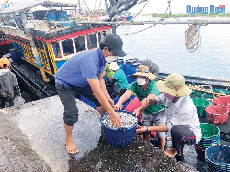 Nguồn lợi thủy sản suy giảm ảnh hưởng đến cuộc sống ngư dân.      