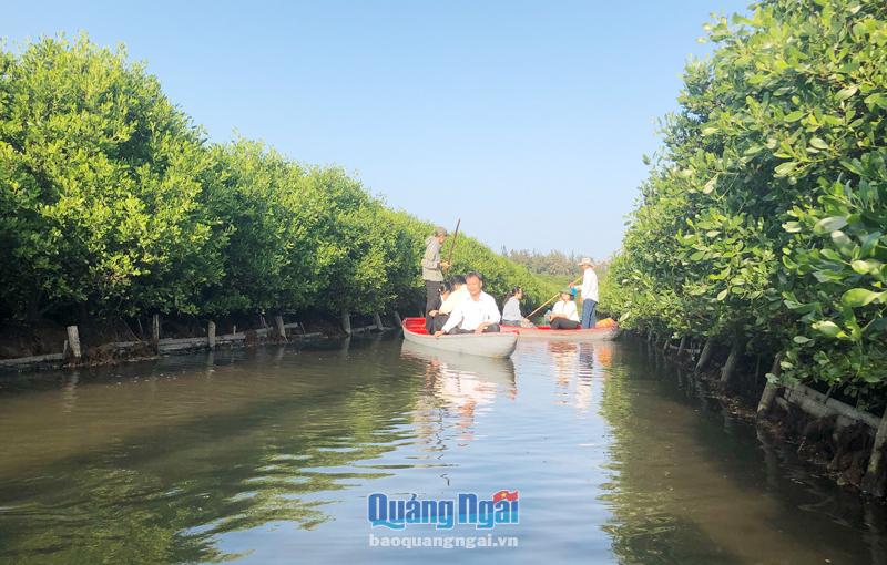 Tuy có sự tham gia của tổ chức cộng đồng nhưng do phương thức chưa phù hợp, dẫn đến hiệu quả bảo vệ rừng ngập mặn bàu Cá Cái, xã Bình Thuận (Bình Sơn) chưa đạt hiệu quả.