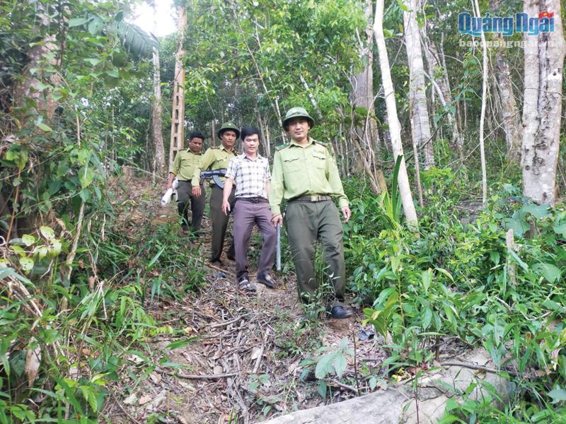 Lực lượng kiểm lâm huyện Sơn Tây tuần tra, bảo vệ rừng vùng giáp ranh.
