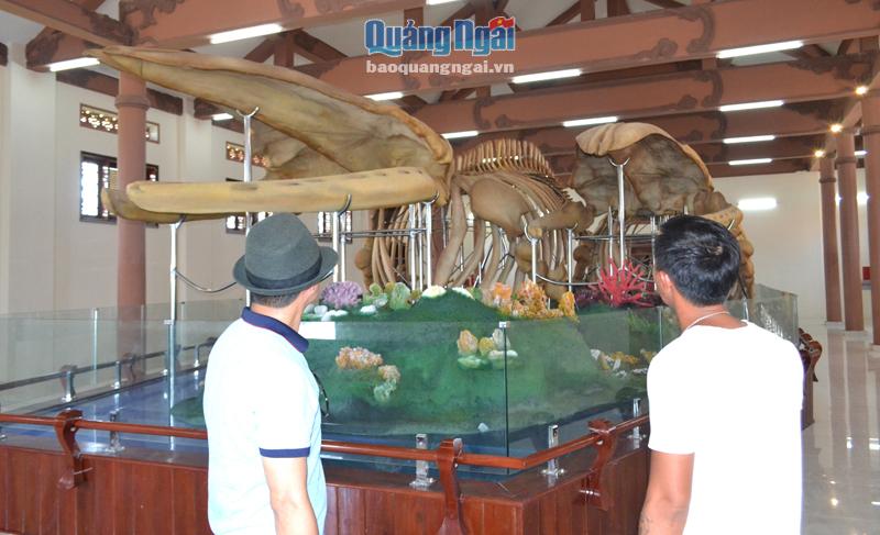 Du khách tham quan Nhà trưng bày bộ xương cá Ông Lăng Tân, ở huyện Lý Sơn. 
