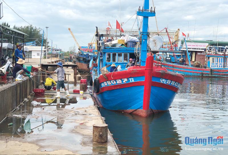  Sau hơn 6 năm đưa vào sử dụng, hạ tầng cảng cá và trung tâm dịch vụ nghề cá Sa Kỳ vẫn chưa hoàn thiện.