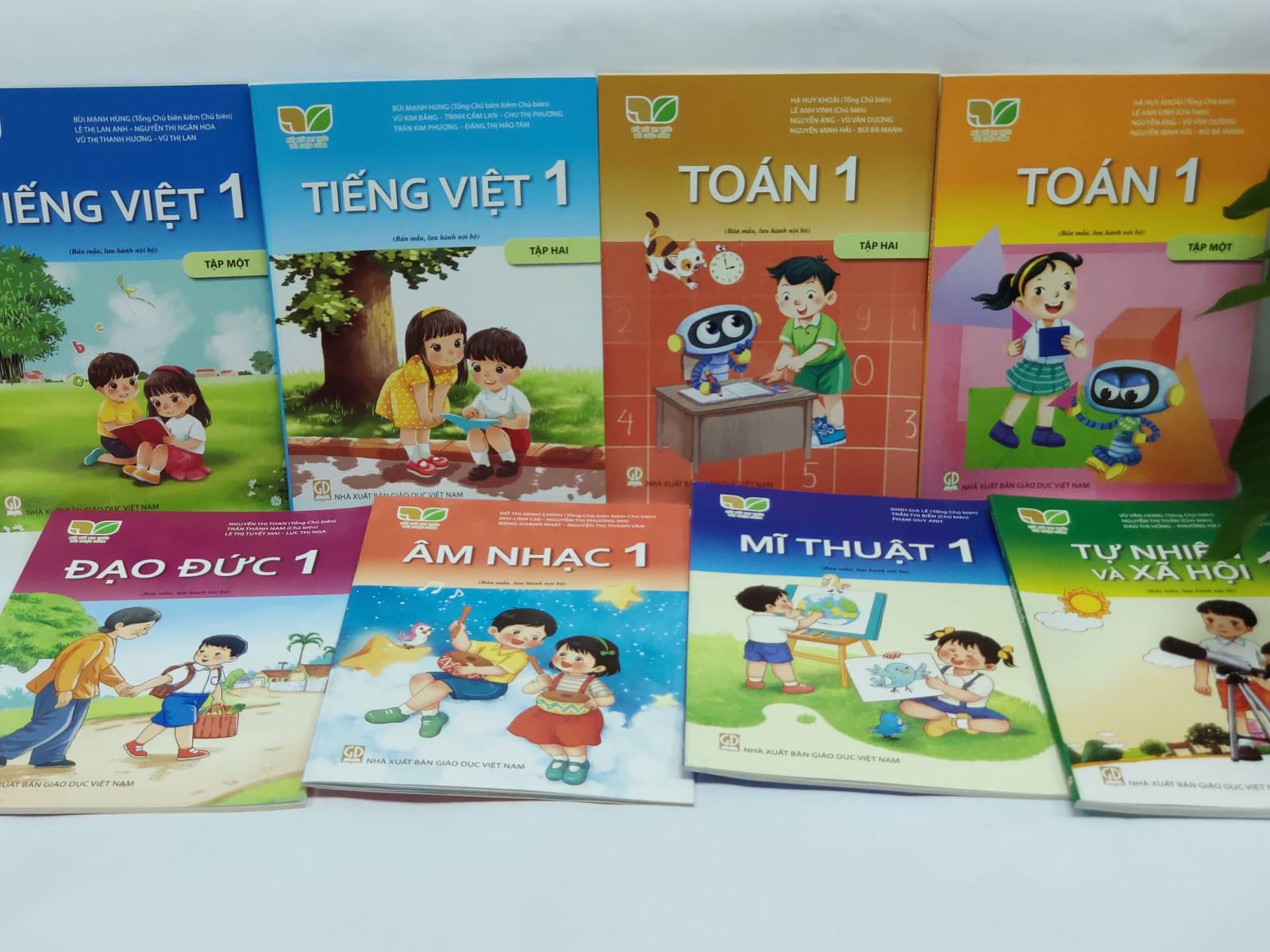 Kỷ luật Chủ tịch HĐTV Nhà xuất bản Giáo dục Việt Nam
