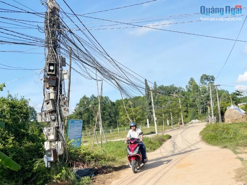 Nâng cấp lưới điện ở xã Bình Hiệp:Một hộ dân cản trở thi công