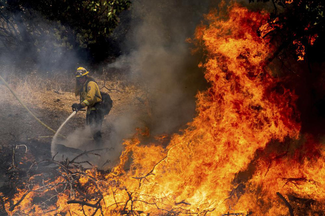 Khoảng 6.000 người đã nhận được thông báo sơ tán do đám cháy rừng Oak. (Ảnh: AP)