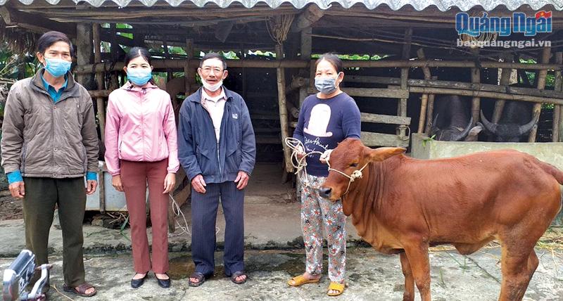Trao bò giống hỗ trợ cho gia đình bà Nguyễn Thị Hợp, ở thôn Hòa Vinh, xã Hành Đức (Nghĩa Hành).