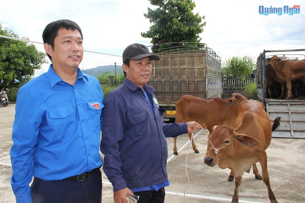 Bí thư Tỉnh đoàn Cao Lê Tùng Nghĩa trao bò cho người dân có hoàn cảnh khó khăn