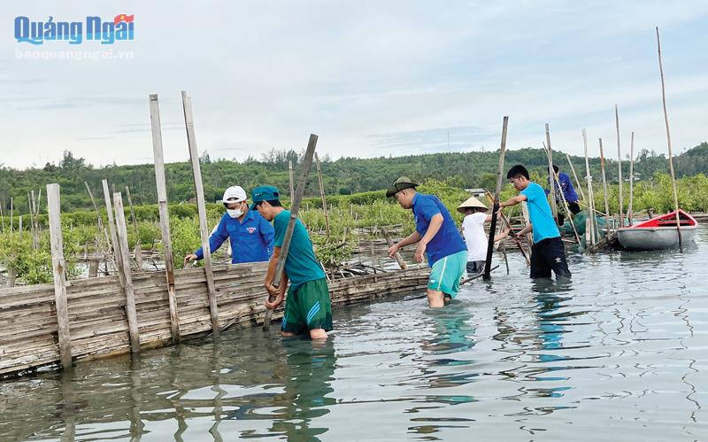 Chính quyền xã Bình Thuận phối hợp với Tổ hợp tác bảo vệ nguồn lợi thủy sản bàu Cá Cái (Bình Sơn) tháo dỡ các rào chắn nuôi cá, trả về hiện trạng ban đầu. 
