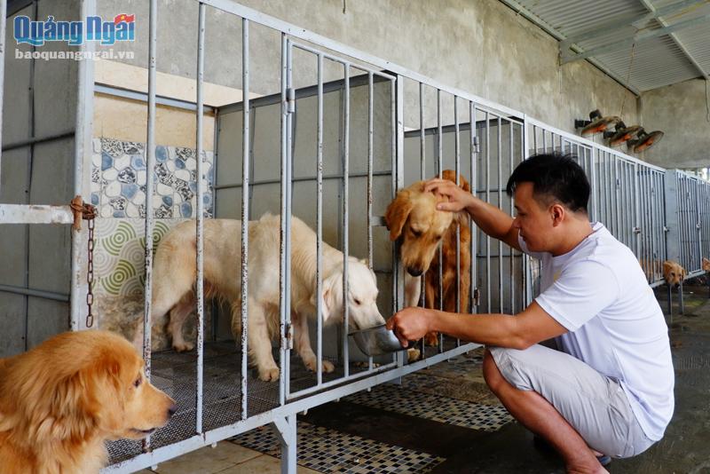 Trang trại nuôi chó cảnh mang lại nguồn thu nhập cao cho anh Huỳnh Văn Hùng.