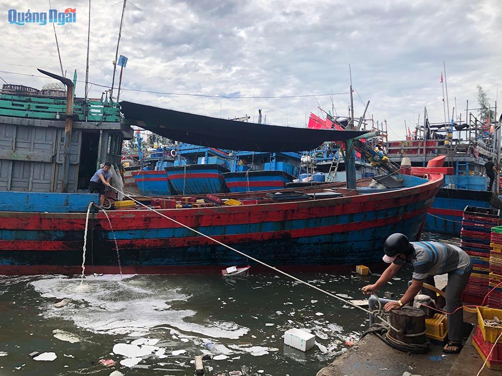 gư dân khẩn trương neo buộc giằng néo tàu tại cảng neo trú tàu thuyền Tịnh Hoà, đảm bảo an toàn phương tiện trong trường hợp bão số 4 đổ bộ 