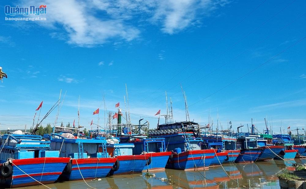 Bão số 4 vừa qua, nhiều tàu thuyền trong và ngoài tỉnh về neo trú ở Cảng Tịnh Kỳ (TP.Quảng Ngãi).