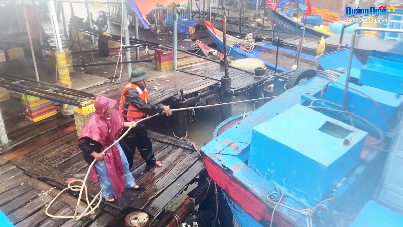 Video: Kêu gọi, hỗ trợ ngư dân vào nơi tránh trú bão an toàn