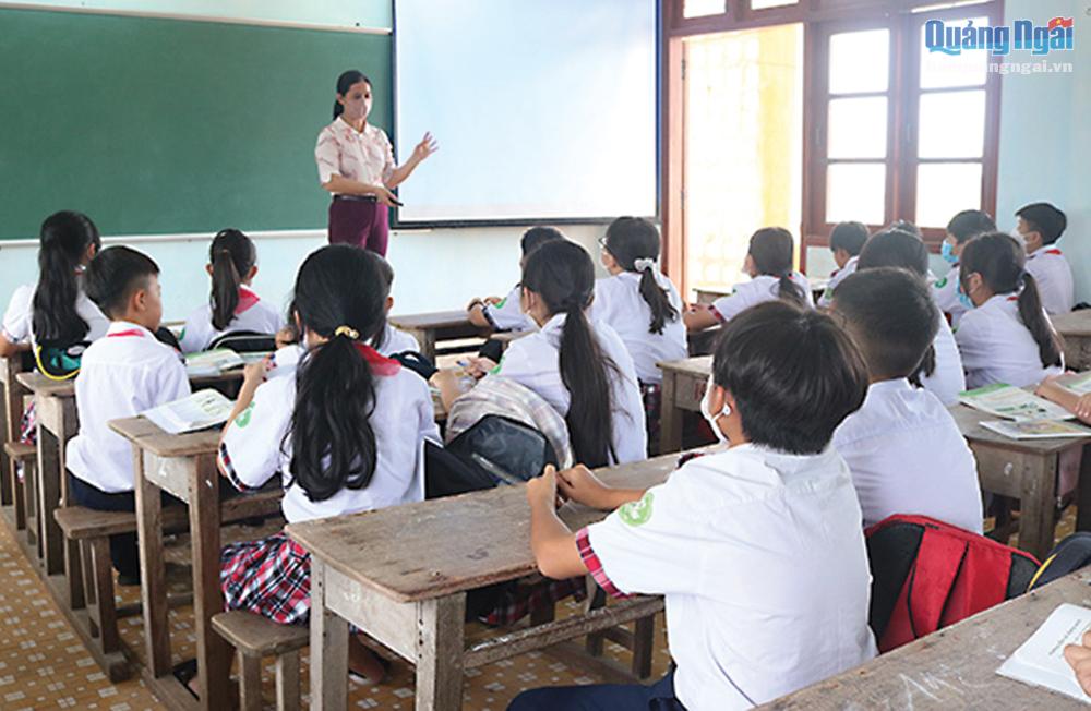 Giáo viên dạy phân môn Sinh học lớp 6 tại Trường THCS Nghĩa An (TP.Quảng Ngãi). 