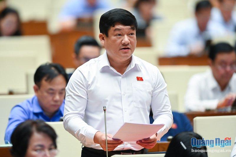 Phó Chánh án TAND tỉnh Lương Văn Hùng - Đoàn ĐBQH tỉnh Quảng Ngãi phát biểu tại phiên họp.