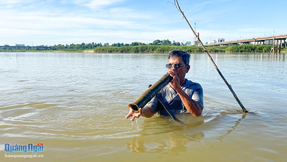 Ông Nguyễn Phan Văn Định kiểm tra bẫy cá bống trên sông Trà. Ảnh: A.P 