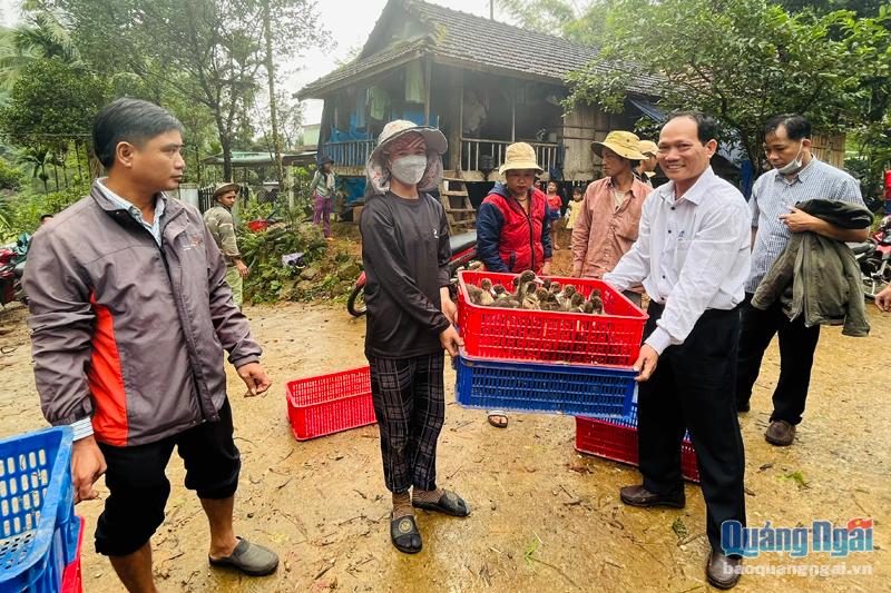 Chi cục Phát triển nông thôn tỉnh trao tặng con giống, thức ăn chăn nuôi cho các hộ dân ở thôn Cà Xen, xã Long Môn (Minh Long).