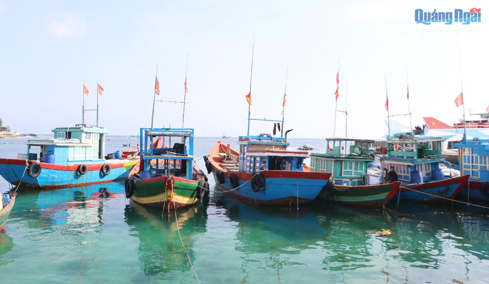 Những chiếc tàu ở làng chài Mỹ Tân, xã Bình Chánh (Bình Sơn).      