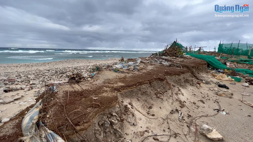Video: Sạt lở bờ biển Lý Sơn ngày càng nghiêm trọng