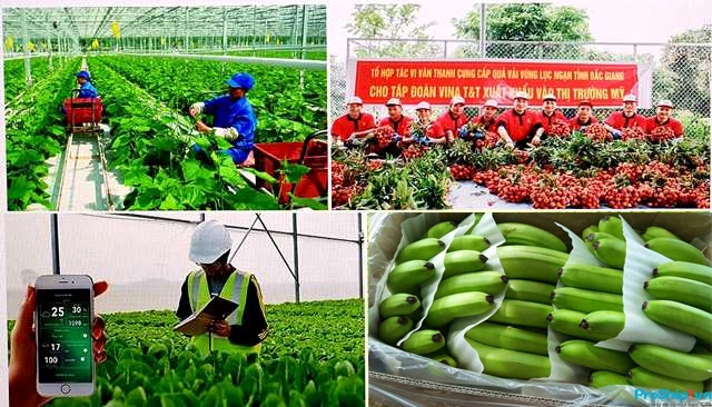 Cơ hội cho nông nghiệp Việt Nam