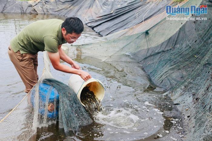 Nghiệm thu đề tài sinh sản nhân tạo và nuôi thử nghiệm thương phẩm cá bống cát sông Trà