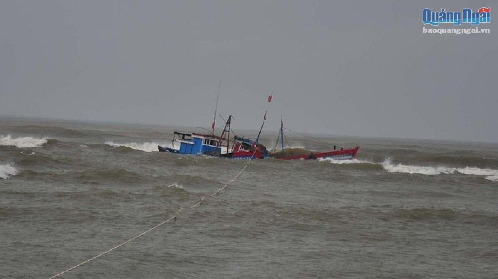 Kịp thời cứu 8 ngư dân Quảng Ngãi bị chìm tàu trên biển