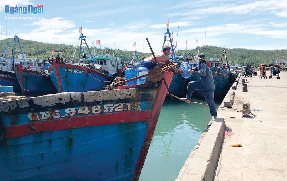 Dịch vụ hầu cần nghề cá tại cảng cá Sa Huỳnh vừa thiếu vừa yếu, chưa đáp ứng yêu cầu phát triển.