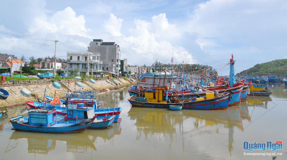 Nghiệp đoàn nghề cá phường Phổ Quang (TX.Đức Phổ) đang nỗ lực tuyên truyền ngư dân chung tay vì môi trường biển, cảng neo trú tàu thuyền không rác thải nhựa.             Ảnh: Ý THU
