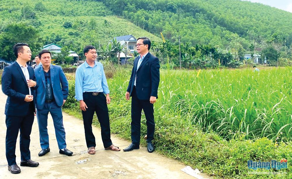 Lãnh đạo Ban Dân tộc tỉnh và các doanh nghiệp khảo sát thực tế để đầu tư các dự án liên kết chuỗi sản xuất nông nghiệp tại xã Sơn Kỳ (Sơn Hà).