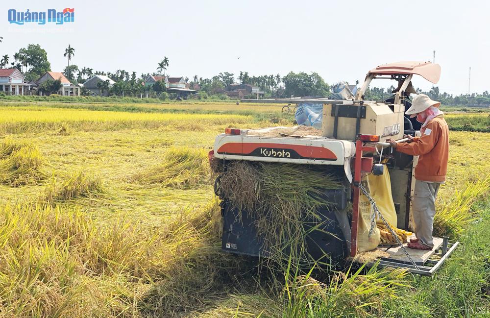 Ứng dụng cơ giới hóa chỉ mới tập trung ở khâu làm đất và thu hoạch lúa, chưa mở rộng ra nhiều khâu chăm sóc trên nhiều đối tượng cây trồng.