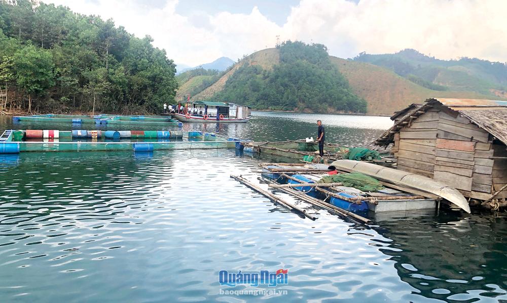 Hồ chứa nước Nước Trong, xã Sơn Bao (Sơn Hà) có nhiều tiềm năng trong nuôi trồng thủy sản nước ngọt. 