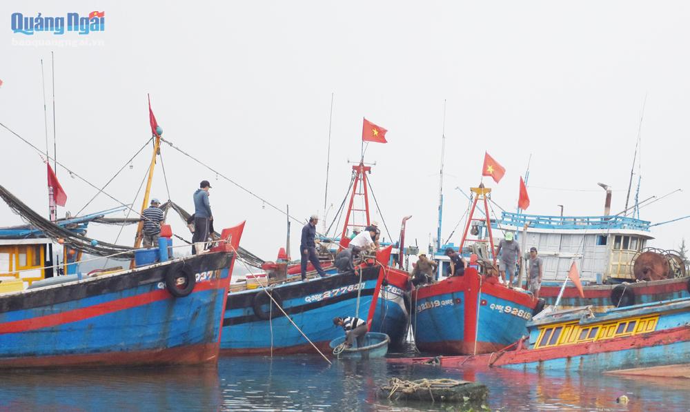 Tàu cá của ngư dân xã Nghĩa An (TP.Quảng Ngãi) đang neo đậu tại địa phương.               Ảnh: Ý THU